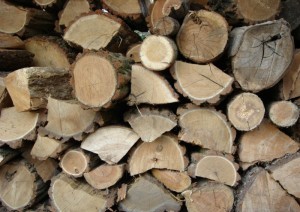 firewood-lakemoor-il-aelite-chimney-specialties