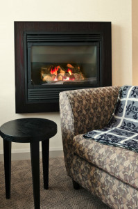Gas & Wood Fireplaces Options Image - Chicago IL - Aelite Chimney Specialties