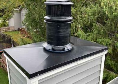 Aelite Chimney Specialties - Chase Cover Complete